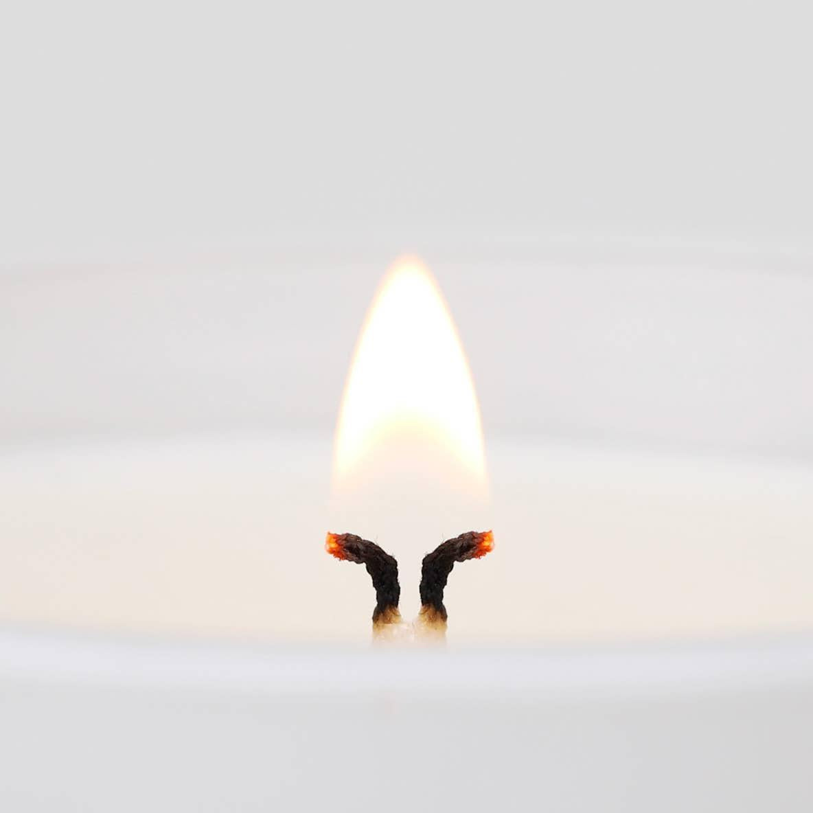 Lavender Woods Candle